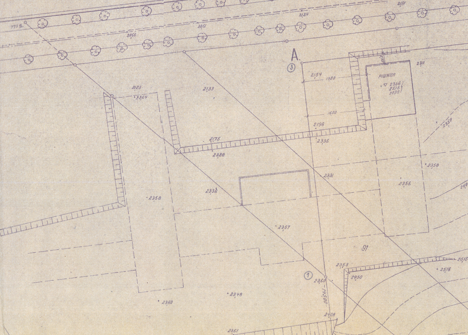 Plan geodezyjny z 1952 r.